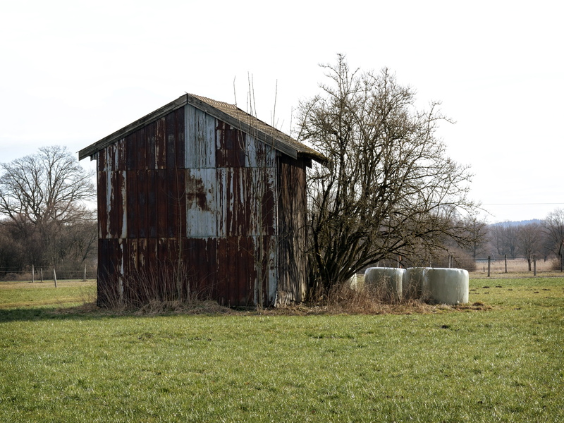 farm, sky, field barn, plant, abandoned, day, Nature, tree, outdoors, shed, meadow, agricultural building, building exterior, agriculture, built structure