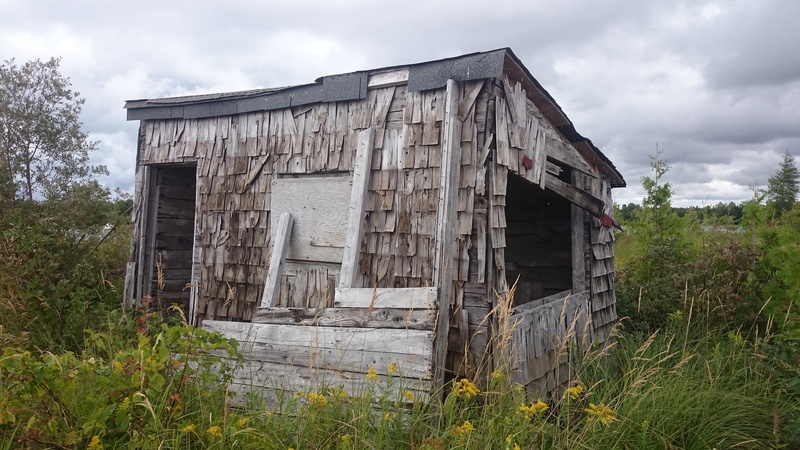 run-down, residential district, leave, usa, deterioration, weathered, plant, log cabin, 5K, wood - material, outdoors, house, cloud - sky, building, nature
