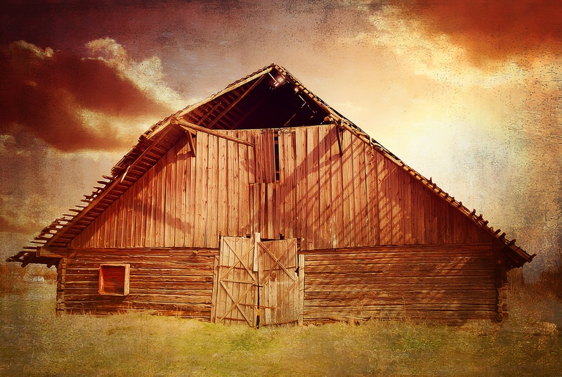 grass, farm, cabin, sky, digital painting, field, old, cloud - sky, log cabin, scale, no people, plant, hut, building, agricultural building, barn, nature