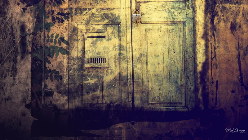 doorway, door, lock, wall, animals, antique, vintage, locked, 1080P, old