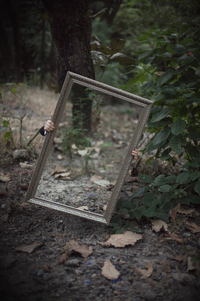 mirror, outdoors, wood - material, plant part, frame, abandoned, no people, growth, close-up, land, reflection, messy, rectangular, wooden, old, woods