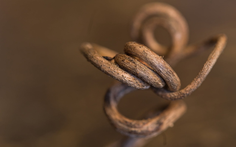 design, table, spiral, backgrounds, single Object, studio shot, close-up, wood - Material, ring, equipment, rusty, still life, nature, twisted, pattern