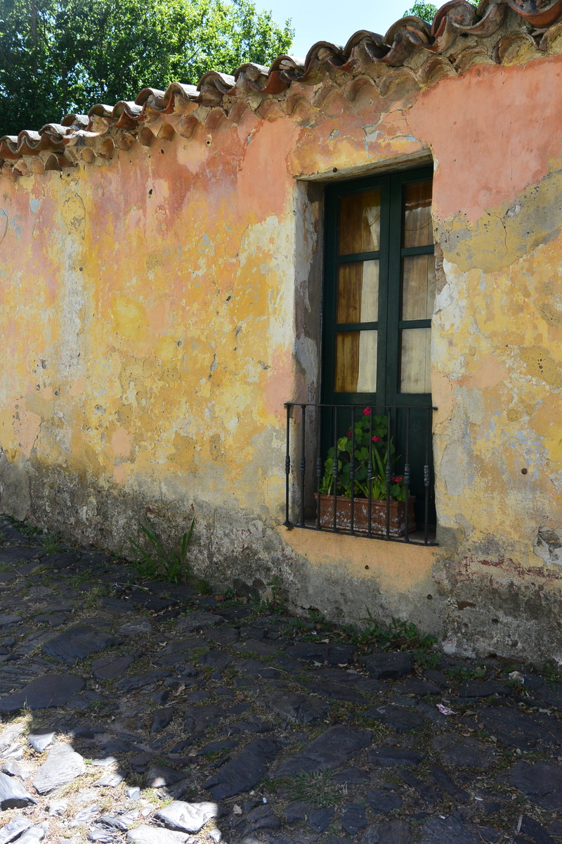architecture, day, brick, nature, door, peace, building exterior, ruins, outdoors, abandoned, abandonment, cologne, window, facade, weathered, growth, penumbra