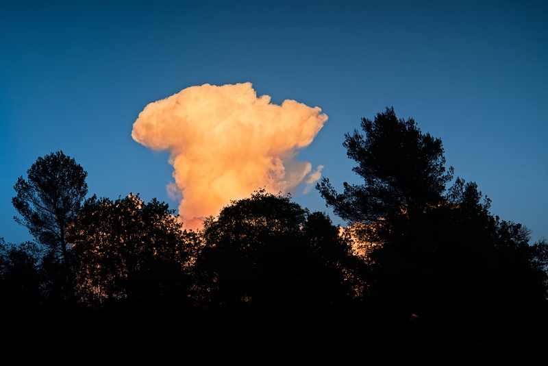 air pollution, flame, no people, cloud, plant, forest, nature, heat - temperature, sign, environment, blue, sky, twilight, warning sign, fire, sunset, penumbra