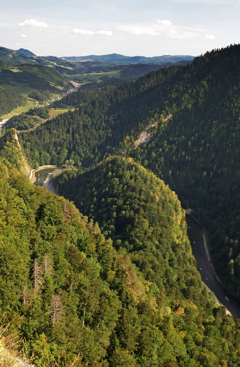 tranquil scene, forests, panorama, scenics - nature, landscape, szczawnica, malopolska, non-urban scene, pine tree, no people, tree, nature, outdoors, Pieniny