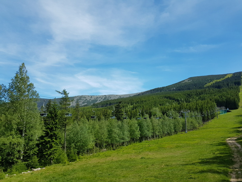 karpacz, coniferous, tranquil scene, extract, field, slope, environment, forest, sky, krkonoše giant mountains, land, scenics, scenics - nature, stok, pine