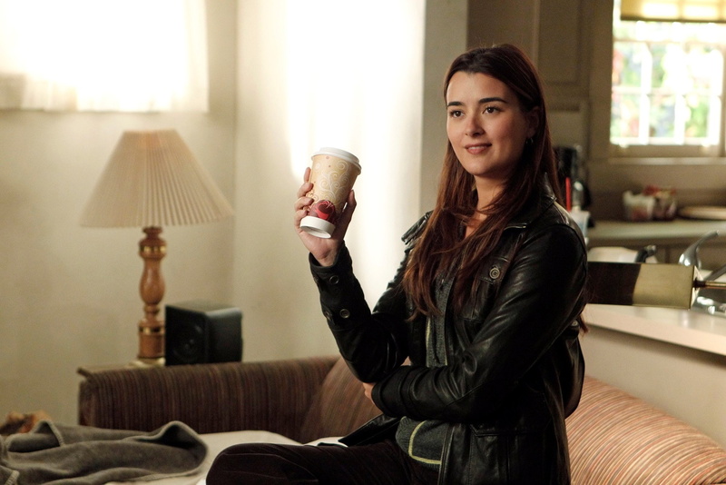 procedural, drama, navy, military, crime, 1080P, series, ncis