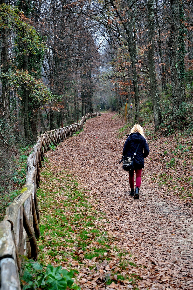 woodland, nature, pathway, tree, land, lifestyles, woman, growth, clothing, warm clothing, day, adult, women, walking, full length, leisure activity, beauty in nature
