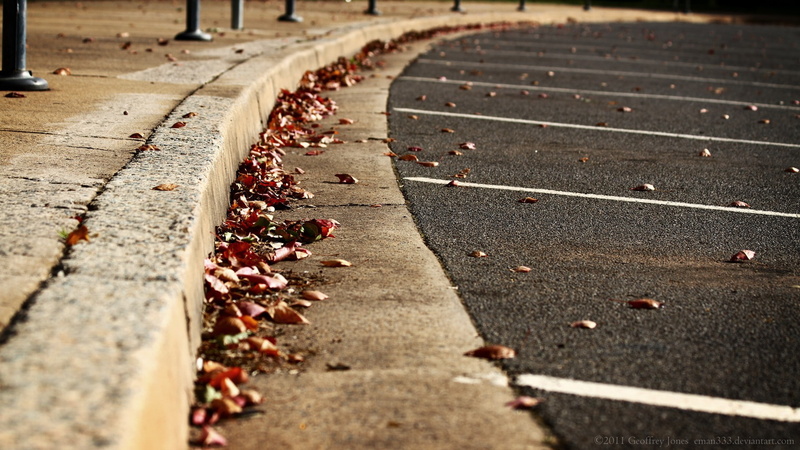 x, 1080P, closeup, hd, leaves, abstract, Streets, art, evenings, close-up, photography