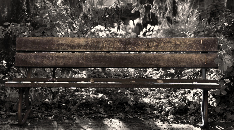 Sit, Rest, day, Seat, tree, park - man made space, empty, old, trees, absence, outdoor, wood - material, leaf, rotting, wood, click, 5K, backgrounds, landscape