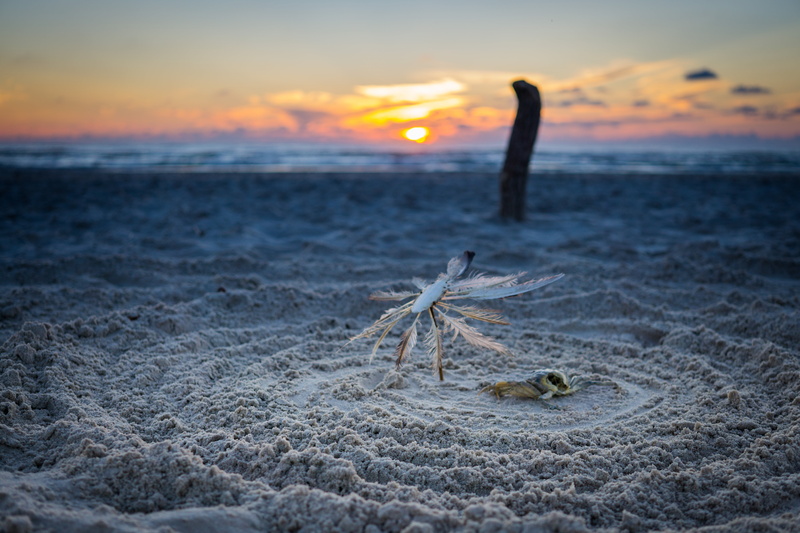 bank, beach, cancer, sky, flotsam, beach water, north sea, lake, cloud - sky, 5K, nature, driftwood, water, no people, sand, tranquil scene, denmark, focus on foreground