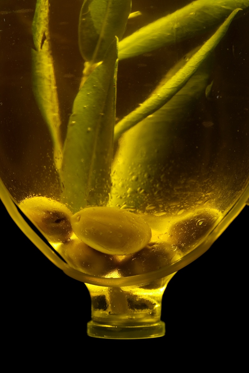 bottle, light, household equipment, healthy, health, freshness, plant, studio, studio shot, food and drink, oil, background, 4K, close-up, yellow, serum bottle