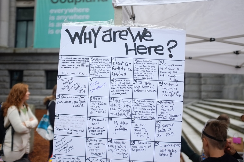 standing, signs, 4K, message, gmo, architecture, women, vancouver, downtown, note - message, text, people, day, communication, western script, protest