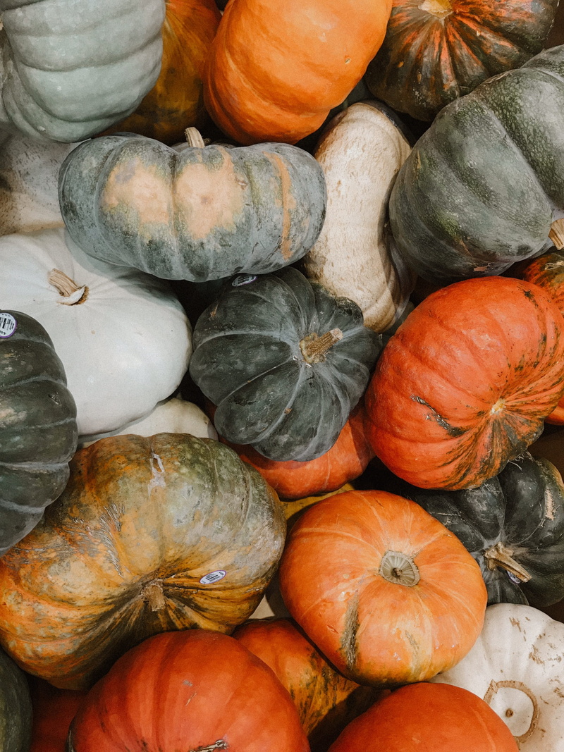 fall palette, vegetable, clean eating, large group of objects, gourd, garden, lot, clean, squash, orange color, high angle view, backgrounds