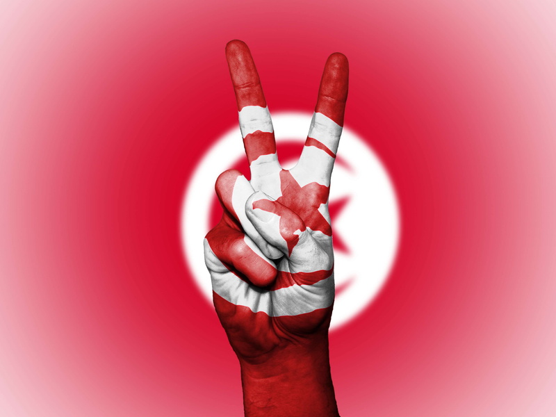 country, copy space, banner, rubber, peace, hand, holding, studio shot, tunisia, icon, flag, nation, human finger, colored background, human body part