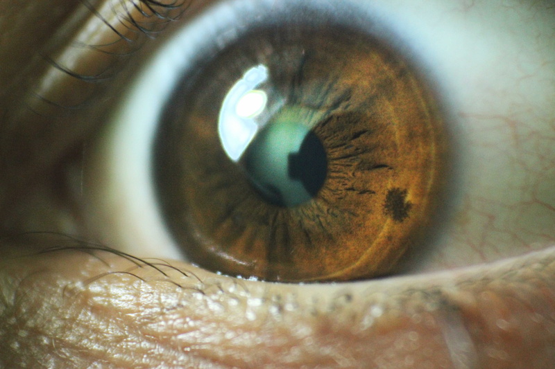 human body part, one person, looking, sensory perception, eye, macro, reflection, human, veins, beautiful woman, extreme close-up, body, real people, 5K