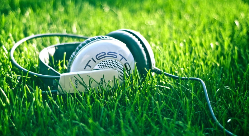 Headphones, high angle view, outdoors, nature, selective focus, growth, technology, plant, day, land, no people, ear, communication, 1080P