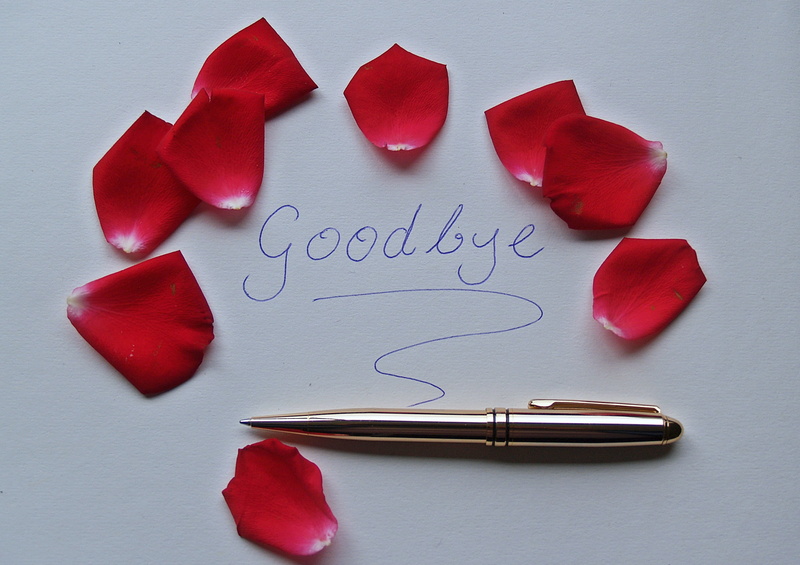 western script, celebration, leave, studio shot, paper, white paper, text, word, go away, flower, shiny, rose petals, printer, absent, close-up, sad, love letter