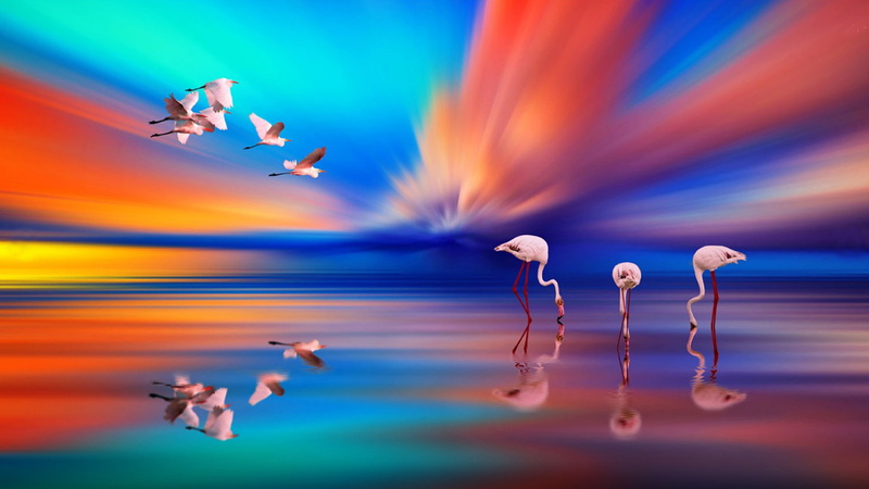 desktop, flamingo, 2K, sunset, clouds, art, reflection, red, lake, orange, sky, flight, water, birds
