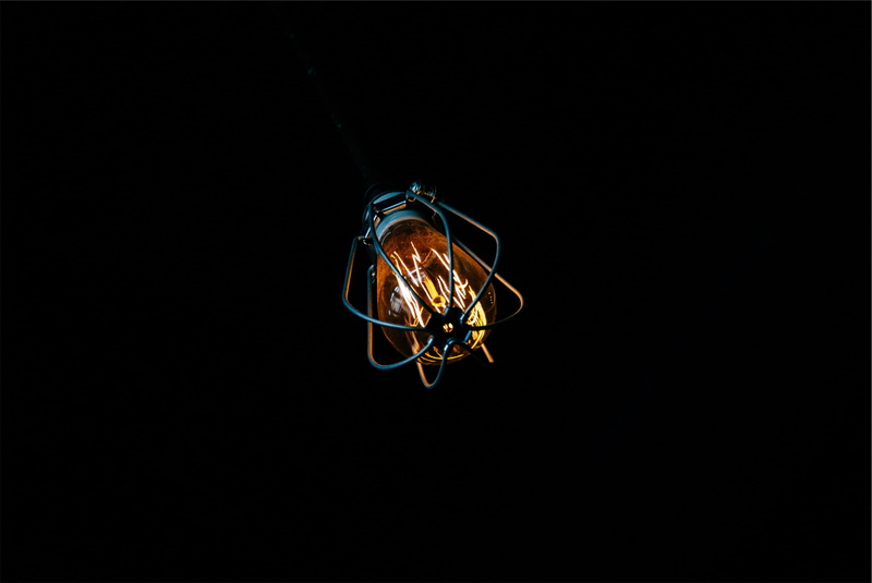 animal wildlife, insect, dark, copy space, hanging, animals in the wild, animal themes, lapse, trouble, animal, nature, electricity, illuminated, night