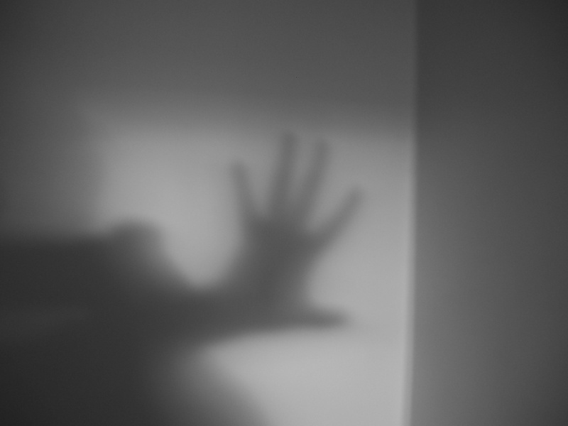 touching, palm, goggles, human hand, horror, hand, real people, hand raised, plant, finger, ankara, silhouette, flower, lip, daisies, accessory, human finger