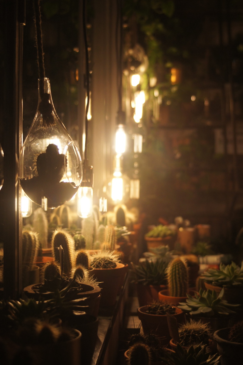 home, lighting equipment, 4K, close-up, düsseldorf, indoors, bulbs, christmas ornament, homegarden, garden, no people, tree, home decor, decor, christmas decoration