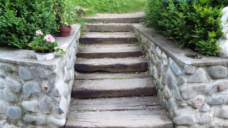 growth, climb, green color, stone material, direction, speed, romans, potted plant, railing, stone wall, solid, tree, stairs, no people, plant, stone, architecture