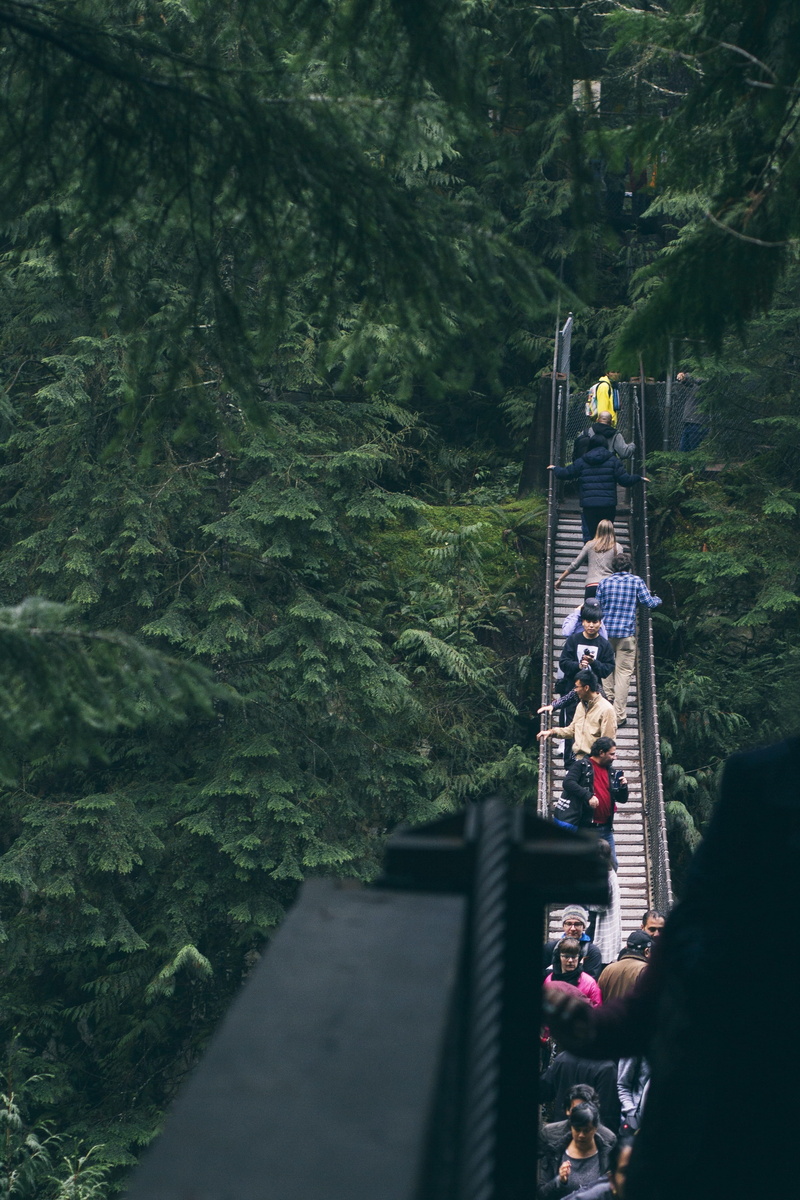 4K, lifestyles, connection, men, forest, green, outdoors, plant, bridge, metal, group of people, leisure activity, tree, nature, travel, women, footbridge