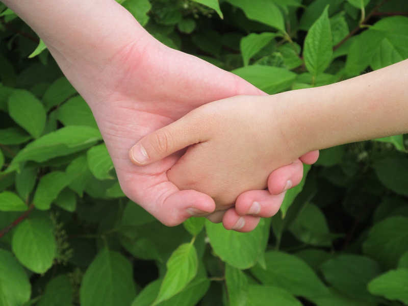 human finger, good, human arm, marry, vulnerability, 4K, body part, childhood, finger, community, tenderness, human body part, happy, hands, human limb