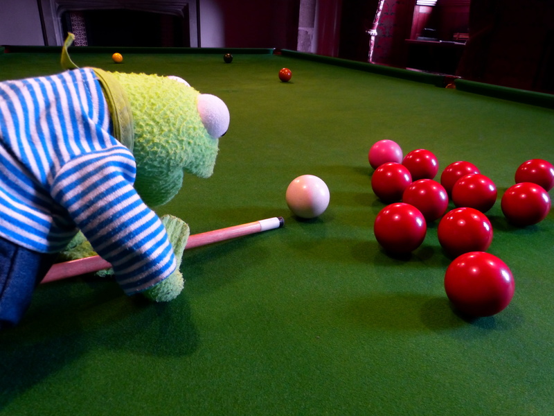 playing, relaxation, real people, sport, casual clothing, pool - cue sport, play, leisure activity, table, indoors, kermit, billiards, pool ball, about