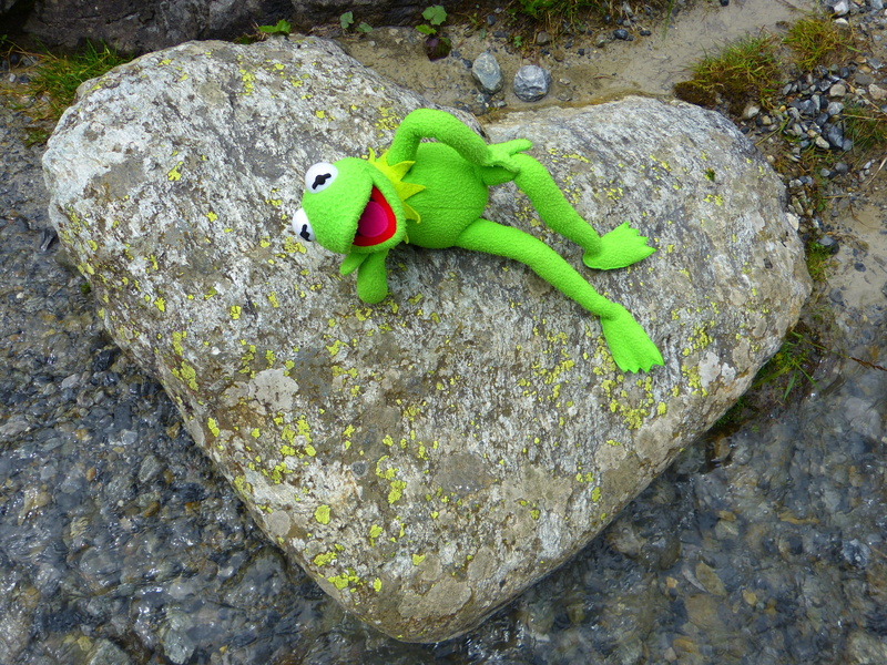 stone heart, textured, close-up, stone, reptile, animals in the wild, animal, amphibian, no people, one animal, animal wildlife, solid, outdoors, green color