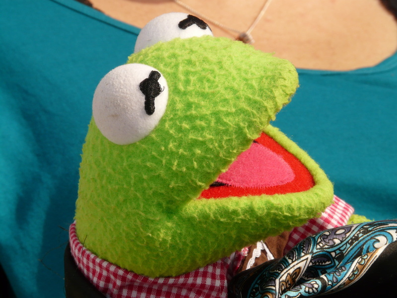 children, hat, art and craft, focus on foreground, talk, green, textile, toy, no people, frog, laugh, joy, 2K, doll, mouth, stuffed toy, kermit, rag doll