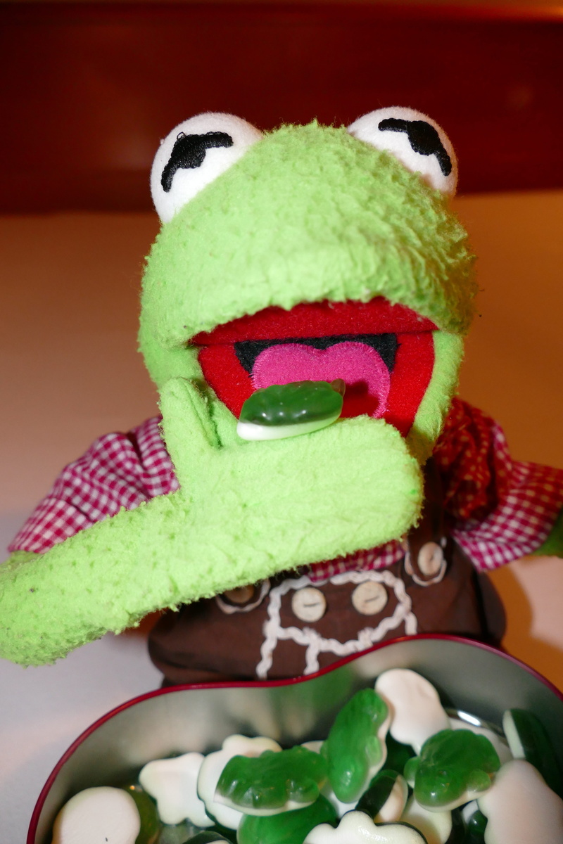 gummibärchen, celebration, creativity, winter, knit hat, red, scarf, hat, 5K, christmas, still life, textile, Kermit, no people, wool, rubber frogs, green color