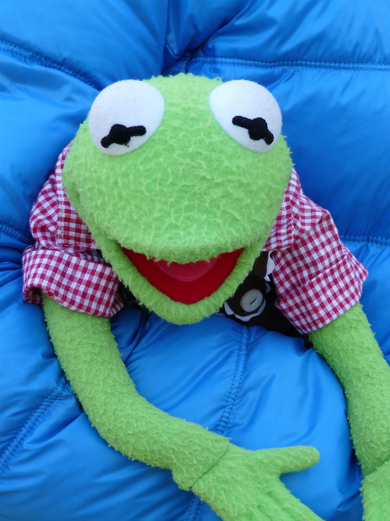 doll, figure, front view, frog, close-up, 2K, sit, stuffed animal, bavarian, child, leather pants, indoors, fun, blue, cloth figure, portrait, warm clothing