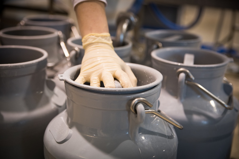 indoors, human body part, food and drink, preparation, farm, occupation, food, protective glove, white color, household equipment, fresh, focus on foreground