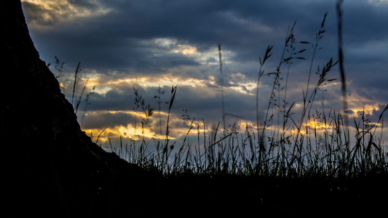 silhouette, tree, night, tranquility, environment, sky, scenics - nature, dramatic sky, meadow, no people, mystic, slovakia, beauty in nature, growth, land