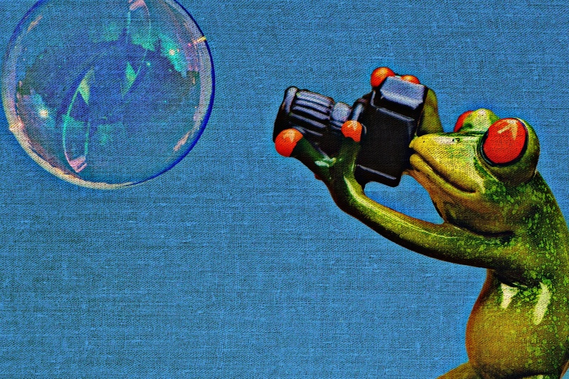 fun, camera, close-up, water, tissue, bubble, creativity, 2K, pop Art, structure, frog, transparent, fabric, funny, toy, cute, multi colored, green, animal world