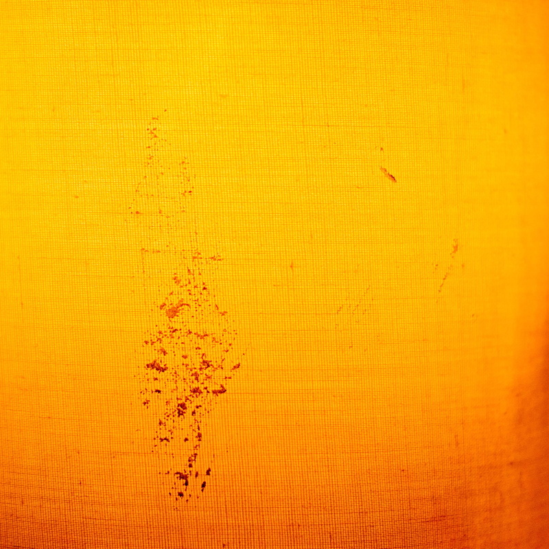 backgrounds, light, orange color, grungy, food and drink, nature, abstract, indoors, shape, lampshade, blot, close-up, animal, copy space, animal themes