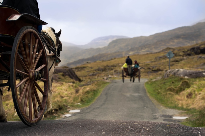 horse drawn carriage, 2K, mammal, horse, the way forward, concrete, mountains, daytime, carriage, rear view, travel, ireland, grey, fog, nature, wagon