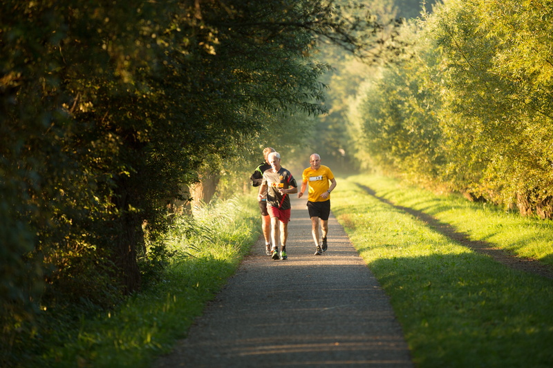 park, two people, full length, women, nature, lifestyles, people, walk, plant, footpath, casual clothing, shorts, man, old, togetherness, 5K, the way forward