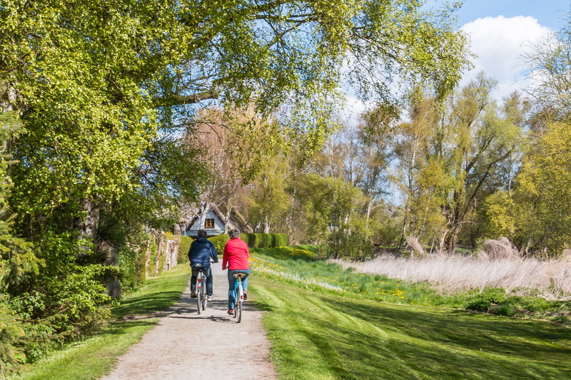 rear view, bicycle, plant, 2K, althagen, togetherness, outdoors, lifestyles, sport, transportation, nature, real people, riding, ride, leisure activity