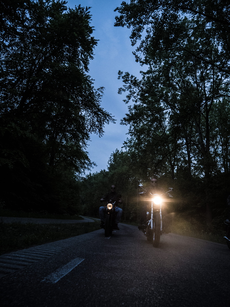road, motor vehicles, transportation, motorcycle, plant, people, motorbikes, view, golden sunset, mode of transportation, growth, sky, riding, motorcycles