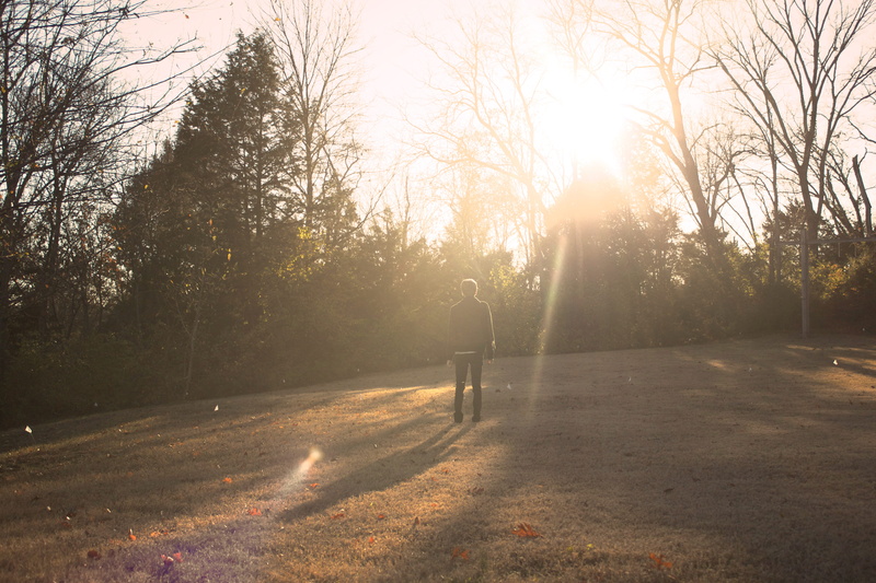 sunlight, grass, rear view, 4K, the way forward, lens flare, real people, growth, outdoors, nature, person, two people, tree, field, day, beauty in nature