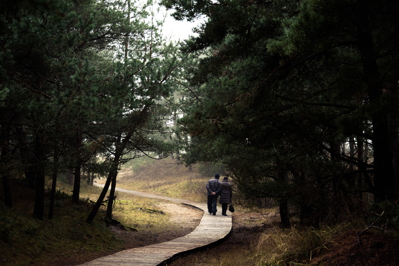 wood, road, direction, lithuania, men, melnrage beach, plant, outdoors, real people, forest, tree, nature, 5K, people, pine, walking, leisure activity