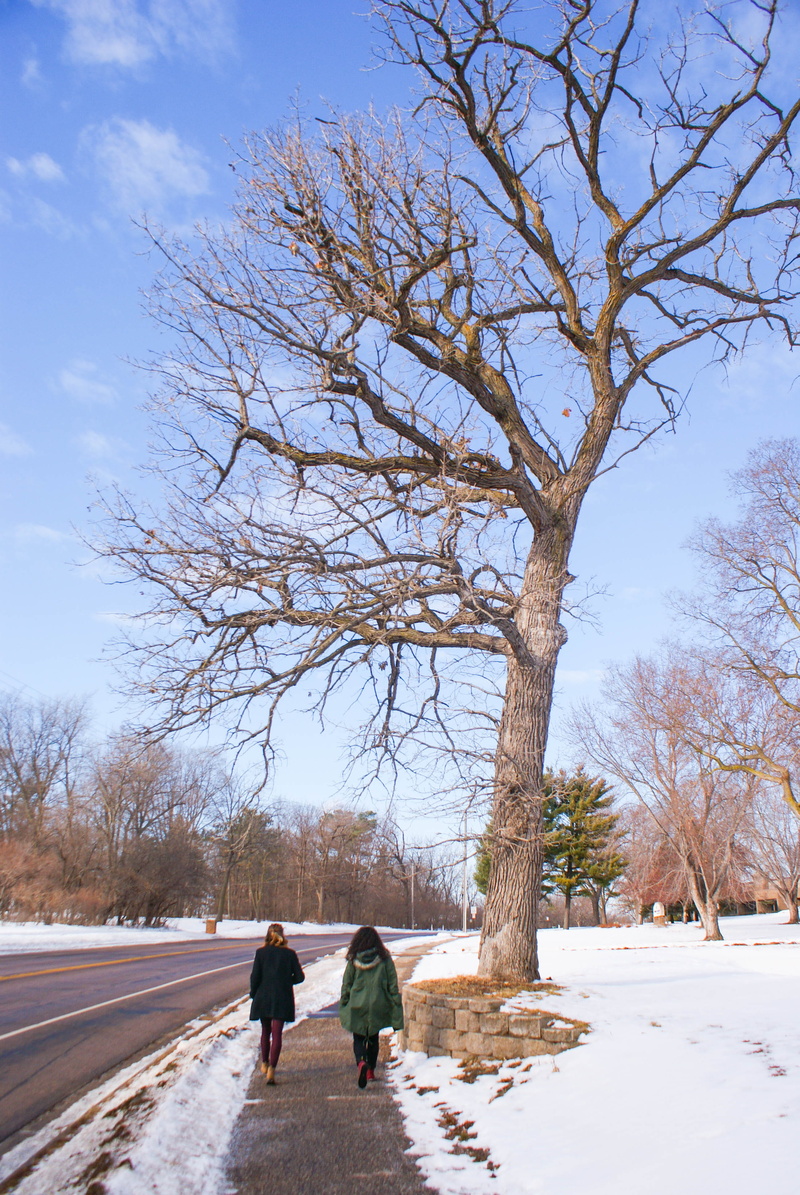 sky, winter, the way forward, walking, rear view, road, women, day, snow, direction, bare tree, friends, cold temperature, real people, plant, warm clothing