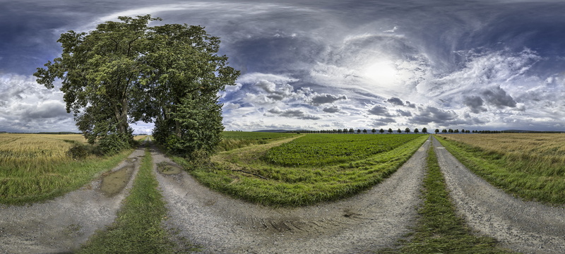 way, tree, sky, scenics - nature, vanishing point, grove of trees, beauty in nature, clouds, transportation, dirt road, land, cloud - sky, the way forward