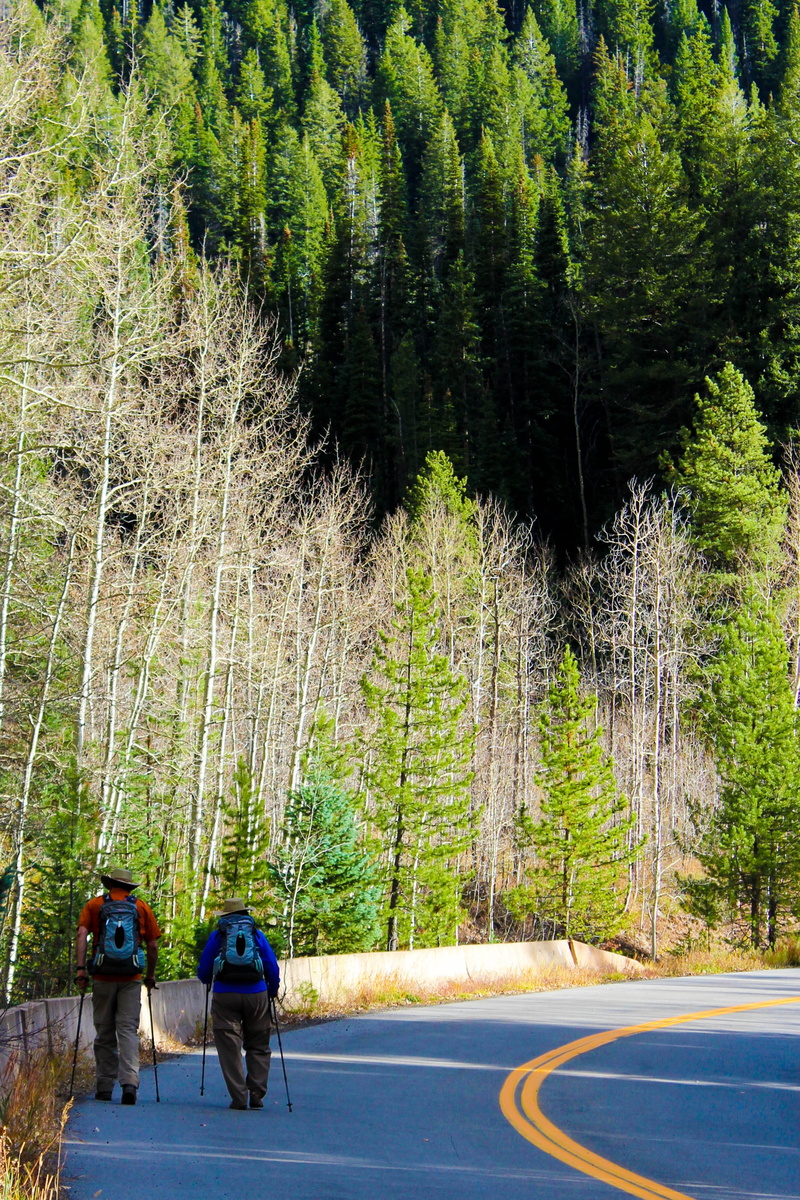 colorado, female, land, woman, tree, transportation, growth, men, activity, trail, the way forward, day, outdoors, road, full length, hiking, active, green color