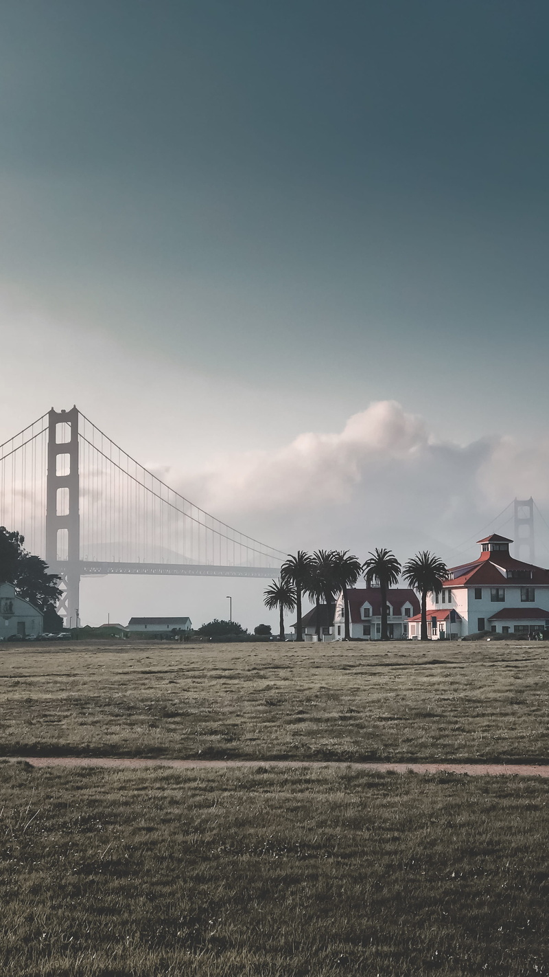 suspension bridge, 4K, 649 mason st, park, united states, grass, plant, field, sunset, building exterior, land, bay, sky, crissy field, palm trees, transportation