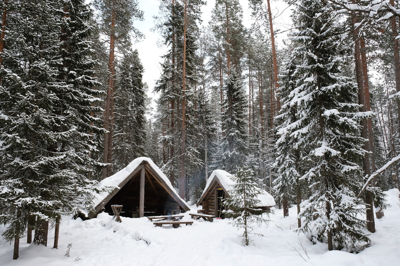 built structure, trees, woodland, beauty in nature, house, forest, scenics, Winter Wonderland, snow, rural Scene, nature, brown, green, wood, weather, cold temperature