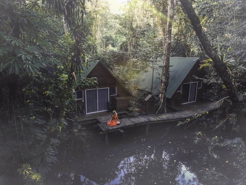 residential district, brown, sitting, tree, lake, transportation, photo, building exterior, window, wooden, house, water, 4K, guatemala, dock, growth